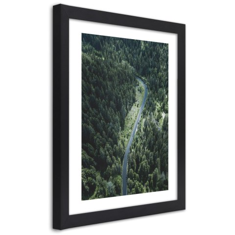 Plakat w czarnej ramie - Droga w lesie
