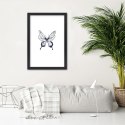 Plakat w czarnej ramie - Narysowany motyl