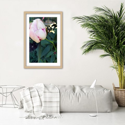 Plakat w drewnianej ramie - Biała piwonia Plakat w drewnianej ramie - Biała piwonia