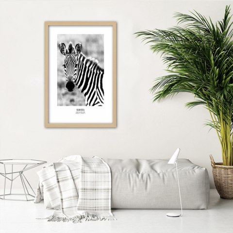 Plakat w drewnianej ramie - Ciekawska zebra Plakat w drewnianej ramie - Ciekawska zebra