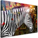 Obraz na płótnie - Zebra na kolorowym tle