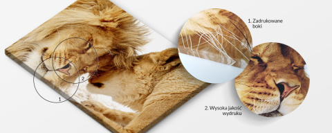 Obraz - Map of the World - Desert storm - triptych Obraz - Map of the World - Desert storm - triptych