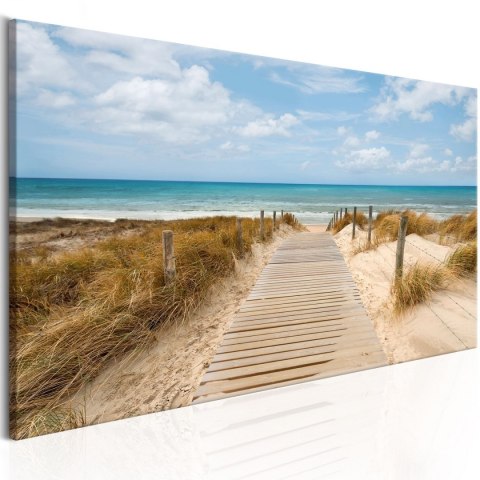 Obraz - Wietrzna plaża Obraz - Wietrzna plaża