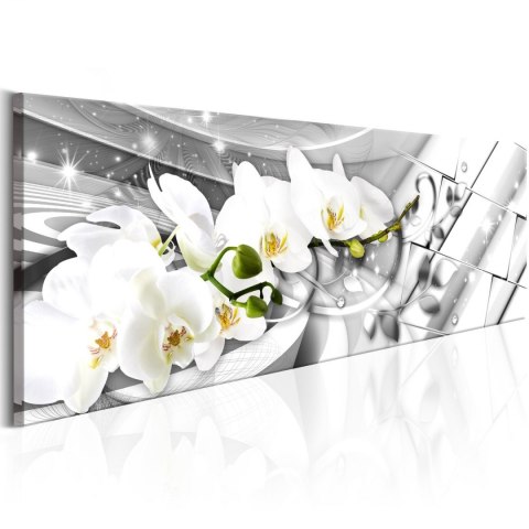 Obraz - Zakręcone orchidee Obraz - Zakręcone orchidee