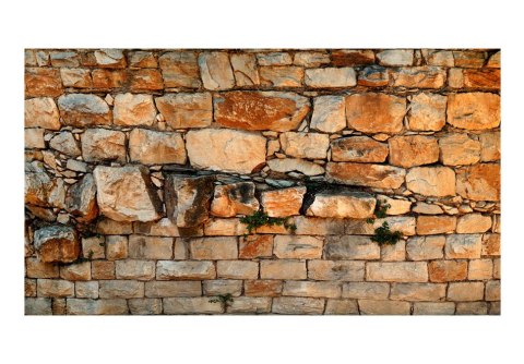 Fototapeta - Kamienny mur o świcie Fototapeta - Kamienny mur o świcie