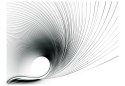 Fototapeta - Abstract fan, ruch 3D