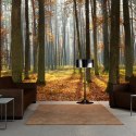 Fototapeta - Jesień, Las 3D, iluzja