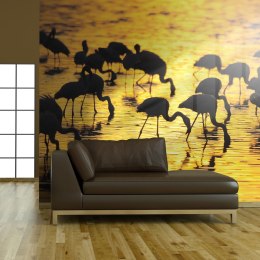 Fototapeta - flamingi na jeziorze