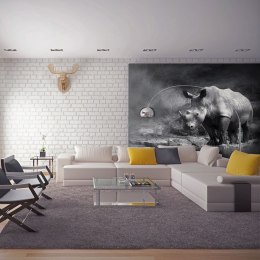 Fototapeta - Czarno-biały Nosorożec