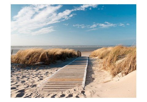 Fototapeta - Plaża Morza Północnego Fototapeta - Plaża Morza Północnego