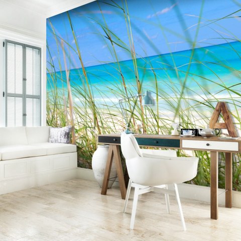 Fototapeta - Lazurowa plaża i trawa Fototapeta - Lazurowa plaża i trawa