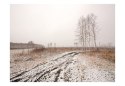 Fototapeta - Pole, pejzaż zimowy