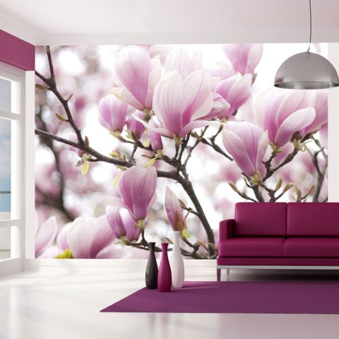 Fototapeta - Gałązka kwitnącej magnolii Fototapeta - Gałązka kwitnącej magnolii