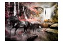 Fototapeta - Czarny koń przy wodospadzie