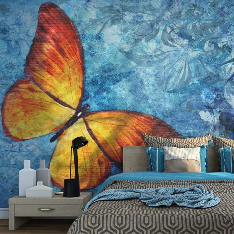 Fototapeta - Pomarańczowy Motyl, Blue Fototapeta - Pomarańczowy Motyl, Blue