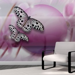 Fototapeta - Fioletowa, motyle 3D