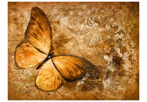 Fototapeta - Duży motyl, brąz, sepia Fototapeta - Duży motyl, brąz, sepia
