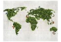 Fototapeta - Zielona Mapa, Natura