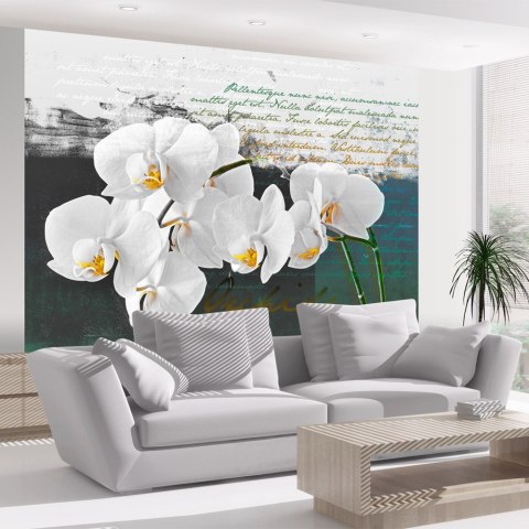 Fototapeta - Orchidea - inspiracja Fototapeta - Orchidea - inspiracja