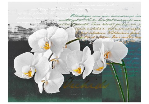 Fototapeta - Orchidea - inspiracja Fototapeta - Orchidea - inspiracja