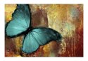 Fototapeta - Painted butterfly