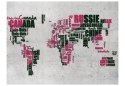 Fototapeta - Mapa z napisów Szary róż