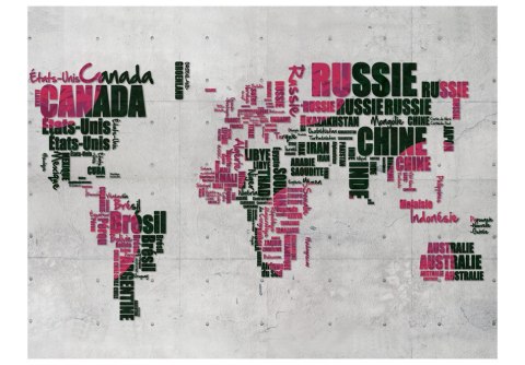 Fototapeta - Mapa z napisów Szary róż Fototapeta - Mapa z napisów Szary róż