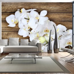 Fototapeta - Orchidea na drewnie