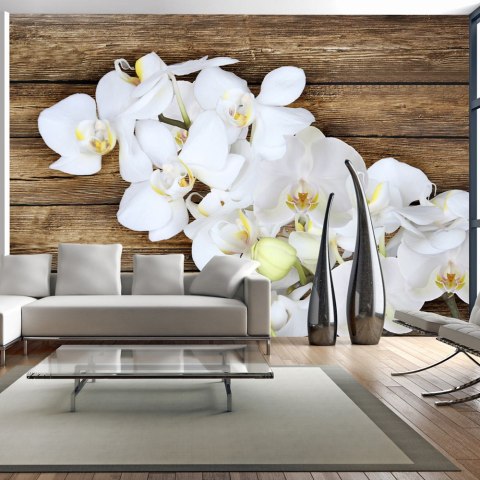 Fototapeta - Orchidea na drewnie Fototapeta - Orchidea na drewnie