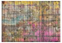 Fototapeta - Kolorowe graffiti, deski