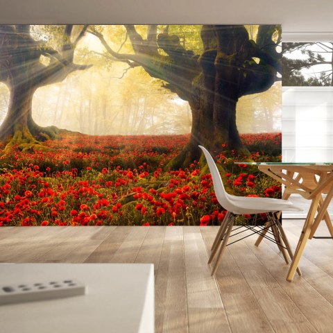 Fototapeta - Drzewa, kwiaty, natura Fototapeta - Drzewa, kwiaty, natura