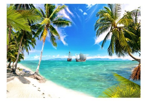Fototapeta - Palmy i okręty na morzu