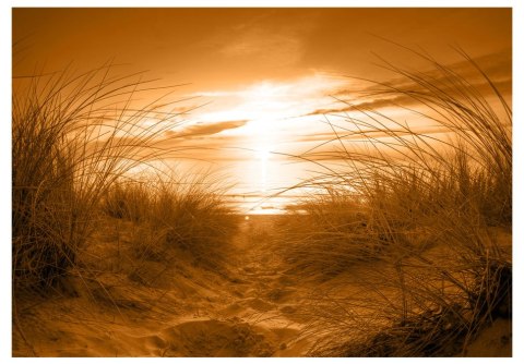 Fototapeta - plaża (sepia) Fototapeta - plaża (sepia)