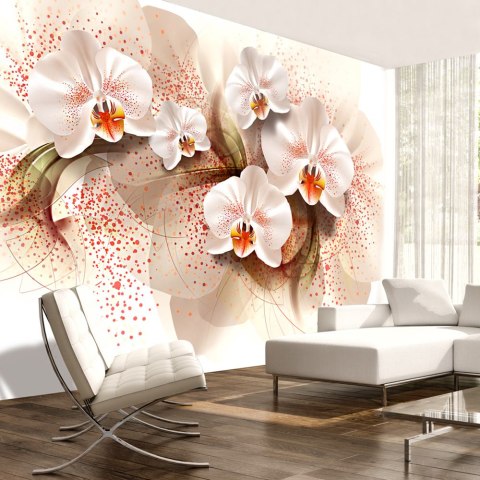 Fototapeta - Herbaciane orchidee Fototapeta - Herbaciane orchidee
