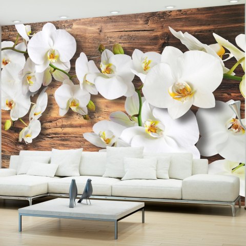 Fototapeta - orchidea i drewno Fototapeta - orchidea i drewno