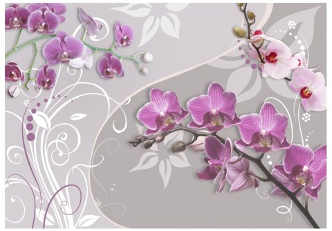 Fototapeta - Motyw roślinny, orchidee Fototapeta - Motyw roślinny, orchidee