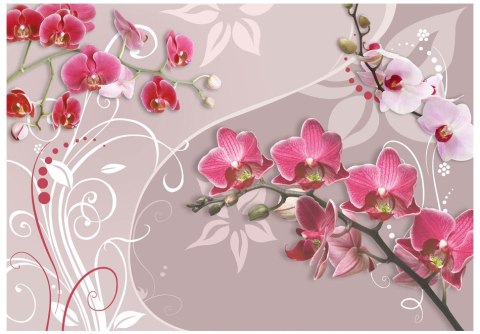 Fototapeta - Lot różowych orchidei Fototapeta - Lot różowych orchidei
