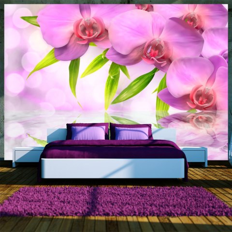 Fototapeta - Orchidee w kolorze lila Fototapeta - Orchidee w kolorze lila