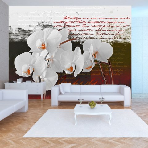 Fototapeta - Pamiętnik i orchidea Fototapeta - Pamiętnik i orchidea