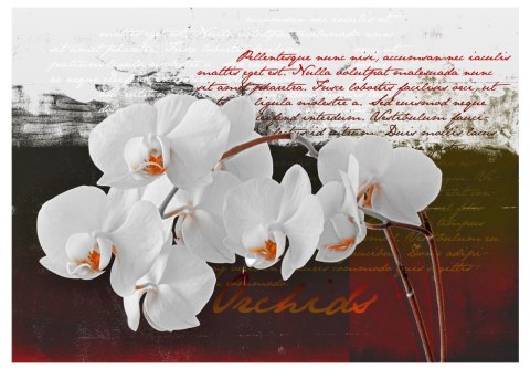 Fototapeta - Pamiętnik i orchidea Fototapeta - Pamiętnik i orchidea