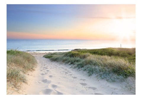 Fototapeta - Ścieżka na plaży, wschód Fototapeta - Ścieżka na plaży, wschód