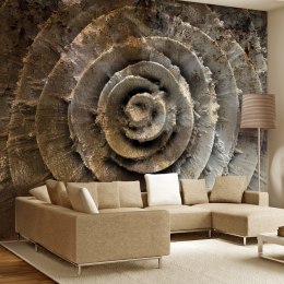 Fototapeta - Kamienna Róża, 3D kwiat
