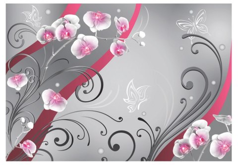 Fototapeta - Różowe orchidee Fototapeta - Różowe orchidee