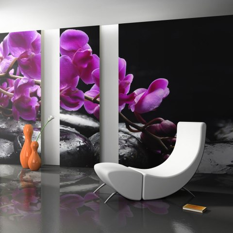 Fototapeta - Fioletowe Orchidee Fototapeta - Fioletowe Orchidee