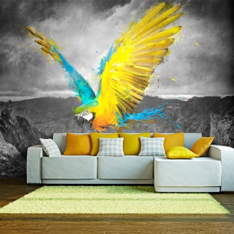 Fototapeta - Exotic parrot, Papuga Fototapeta - Exotic parrot, Papuga