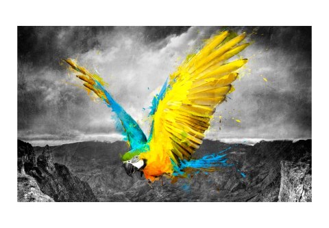 Fototapeta - Exotic parrot, Papuga Fototapeta - Exotic parrot, Papuga