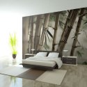 Fototapeta - Las Bambusowy, Natura