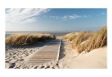 Fototapeta - Plaża Morza Północnego