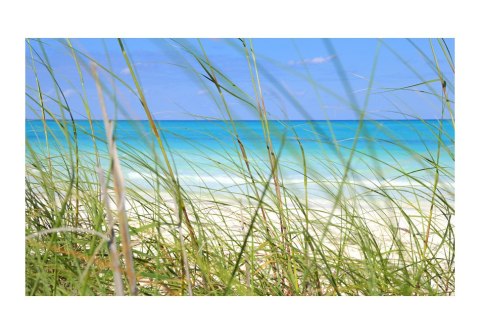 Fototapeta - Tropical journey Fototapeta - Tropical journey