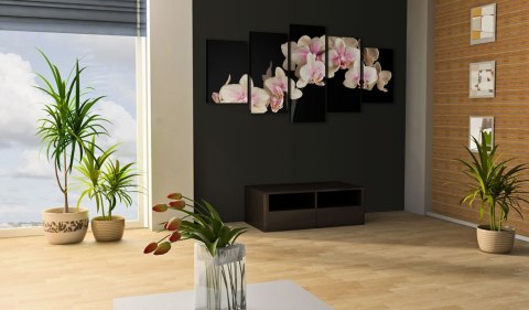 Obraz 5-częściowy Orchidea na czarnym tle Obraz 5-częściowy Orchidea na czarnym tle